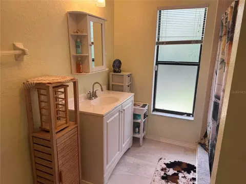Bath - 1472 Ivydale Rd, Spring Hill, FL 34606 photo 3 of 4