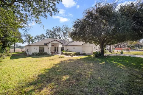Exterior - 1472 Ivydale Rd, Spring Hill, FL 34606 photo 8 of 13