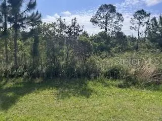 12 Desoto Ave, Indian Lake Estates, FL 33855