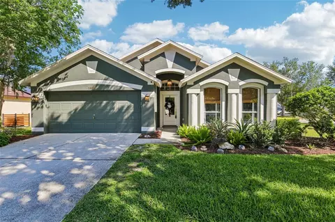19918 Ellendale Dr, Land O Lakes, FL 34638