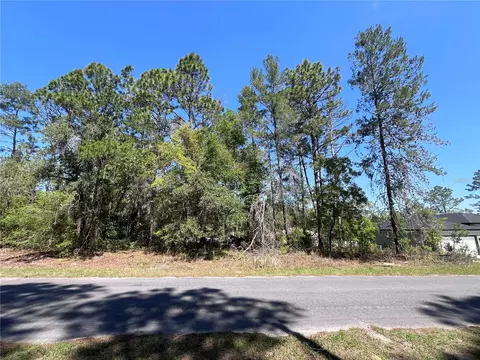 8000 N Pocono Dr, Citrus Springs, FL 34434