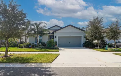 Exterior - 12951 Brookside Moss Dr, Riverview, FL 33579 photo 3 of 5
