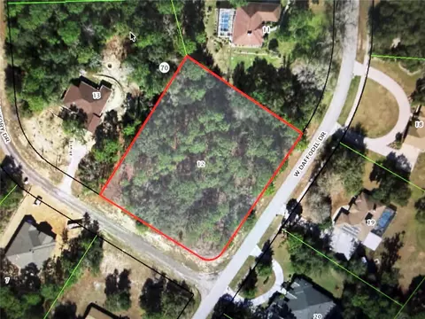 3311 W Daffodil Dr, Beverly Hills, FL 34465