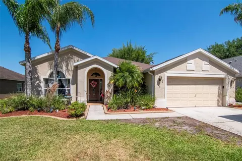 19103 Wind Dancer St, Lutz, FL 33558