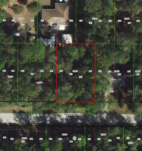 3301 E Anderson St, Inverness, FL 34453
