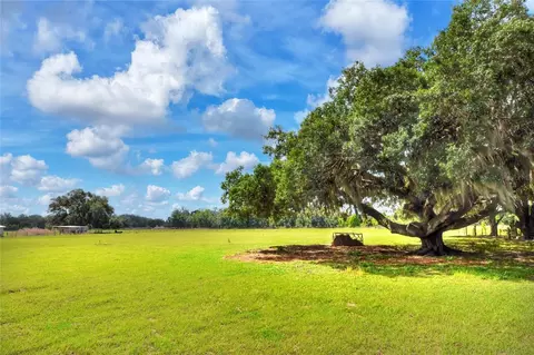 0 Dorman Rd, Lithia, FL 33547 photo 4