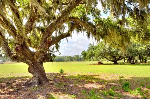 0 Dorman Rd, Lithia, FL 33547 photo 8