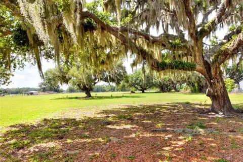 0 Dorman Rd, Lithia, FL 33547 photo 9