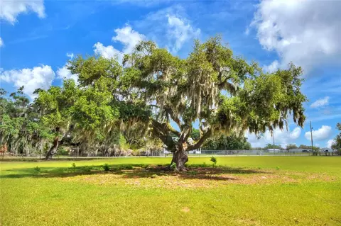 0 Dorman Rd, Lithia, FL 33547 photo 7