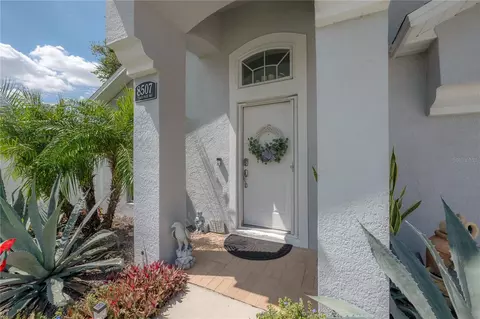 8507 Tiara Park Way, Tampa, FL 33635