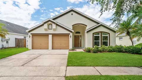 11708 Carrollwood Cove Dr, Tampa, FL 33624