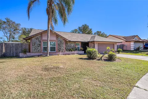 1606 Dusty Rose Ln, Brandon, FL 33510