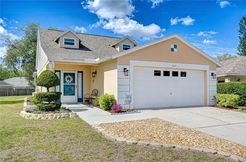 707 Orchard Isle Ct, Valrico, FL 33594