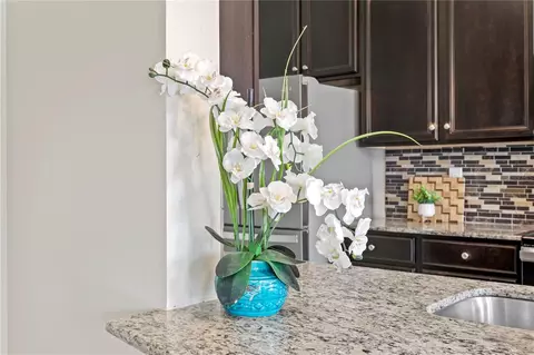 Kitchen - 2837 Maple Brook Loop, Lutz, FL 33558 photo 5 of 5
