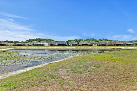 View/Area - 2837 Maple Brook Loop, Lutz, FL 33558 photo 2 of 11