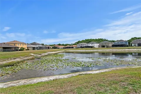 Other - 2837 Maple Brook Loop, Lutz, FL 33558 photo 8 of 11