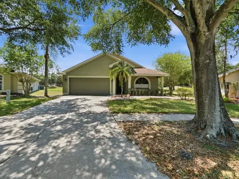 4528 Wild Plum Ln, Lutz, FL 33558