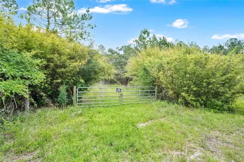 7831 NE 132nd Pl, Citra, FL 32113