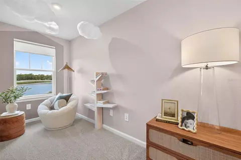 8846 Ginko Run, Parrish, FL 34219 photo 16