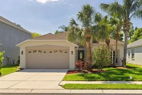 1708 Crossvine Ct, Trinity, FL 34655
