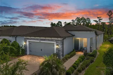 6041 Shorebird Br, Land O Lakes, FL 34638
