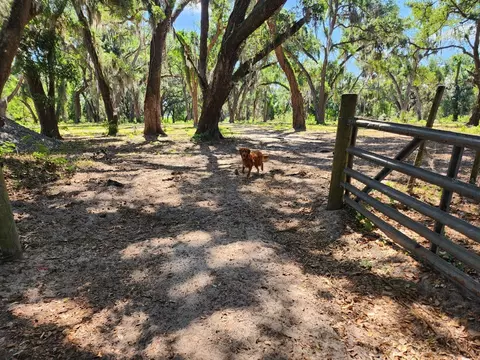 Muck Pond Road, Seffner, FL 33584 photo 13