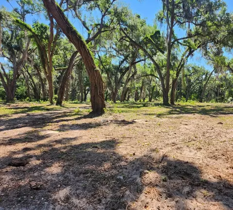 Muck Pond Road, Seffner, FL 33584 photo 5