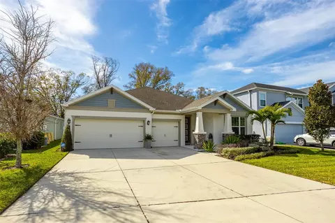 4914 Lakeshore Oaks Ct, Tampa, FL 33624