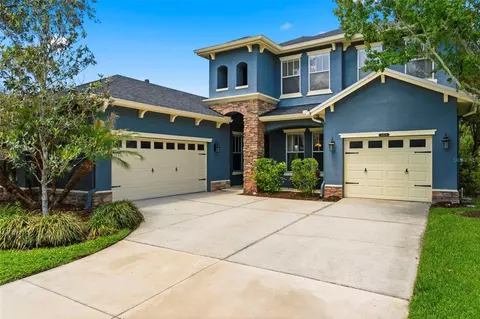 20629 Wild Plum Ct, Land O Lakes, FL 34637