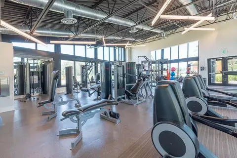 View/Area - 14795 Caravan Ave, Odessa, FL 33556 photo 9 of 14
