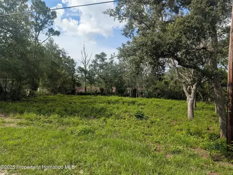 0 Merlin Cir, Dade City, FL 33523