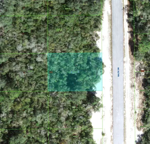 1238 Baltic Dr, Kissimmee, FL 34759