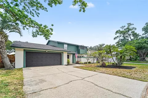 16213 Fantasia Dr, Tampa, FL 33624