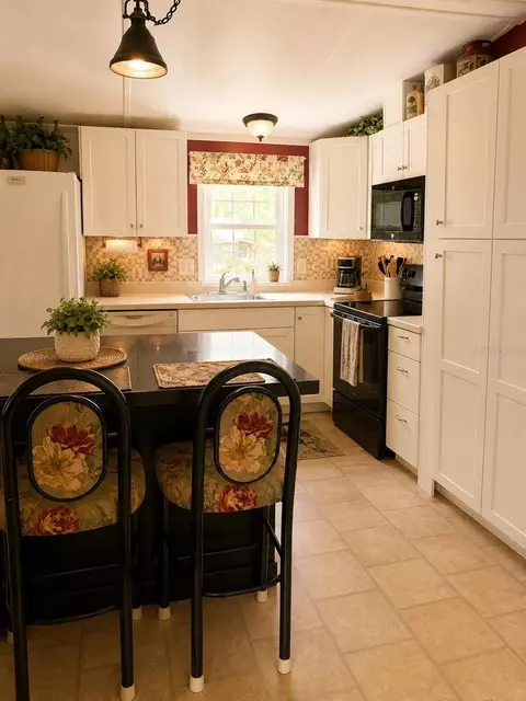 29030 Forbes St, Nobleton, FL 34661 photo 9
