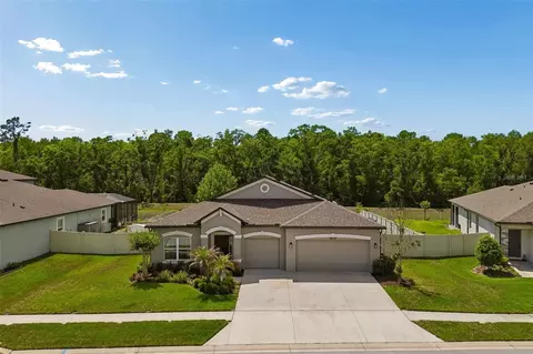 18078 Romanesque Ct, Spring Hill, FL 34610