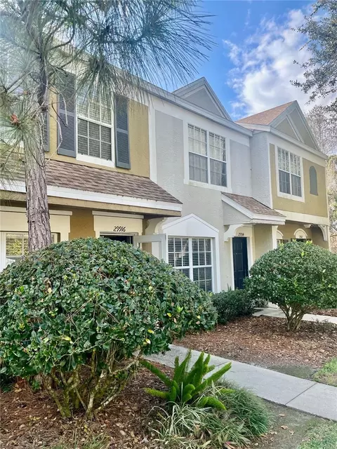 29916 Alta Vita Ln, Wesley Chapel, FL 33543