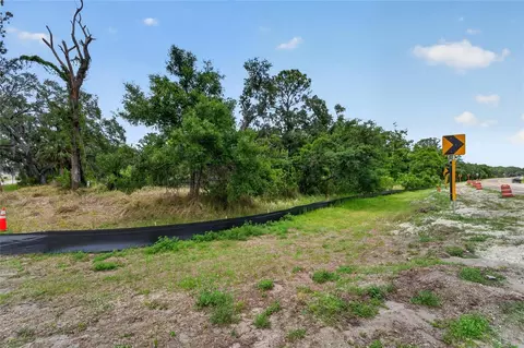 2819 Saffold Rd, Wimauma, FL 33598 photo 9