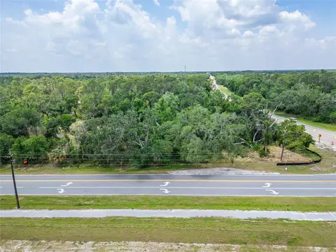 2819 Saffold Rd, Wimauma, FL 33598 photo 23