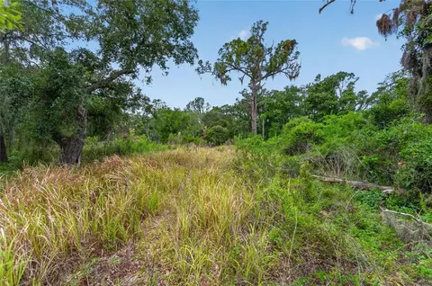 2819 Saffold Rd, Wimauma, FL 33598 photo 14