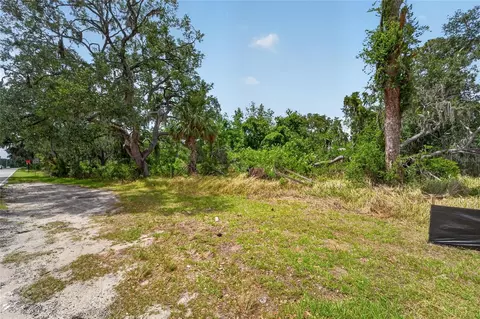 2819 Saffold Rd, Wimauma, FL 33598 photo 11