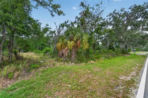 2819 Saffold Rd, Wimauma, FL 33598 photo 13