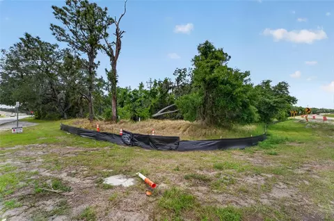 2819 Saffold Rd, Wimauma, FL 33598 photo 8
