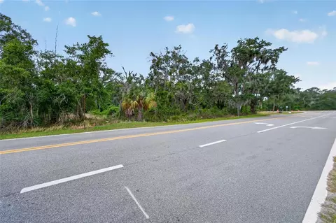 2819 Saffold Rd, Wimauma, FL 33598 photo 5