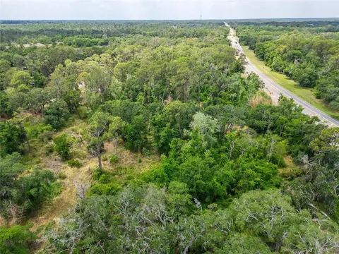 2819 Saffold Rd, Wimauma, FL 33598 photo 25