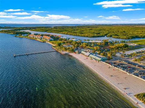 View/Area - 919 Seagrape Dr, Ruskin, FL 33570 photo 14 of 14