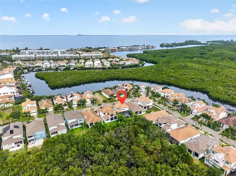 View/Area - 919 Seagrape Dr, Ruskin, FL 33570 photo 1 of 14