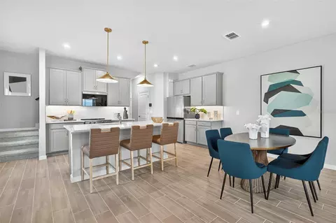 8831 Ginko Run, Parrish, FL 34219 photo 9