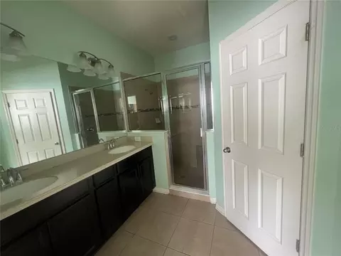 Bath - 8623 Deep Maple Dr, Riverview, FL 33578 photo 5 of 5