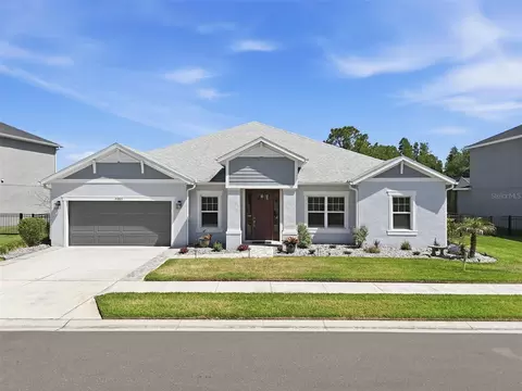33805 Castaway Loop, Wesley Chapel, FL 33543