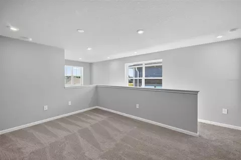 Other - 13129 Oxeye Ln, Parrish, FL 34219 photo 1 of 4